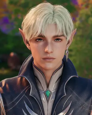 Male Elf