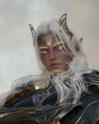 Drow/Night Elf