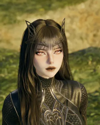 My Dark Wife