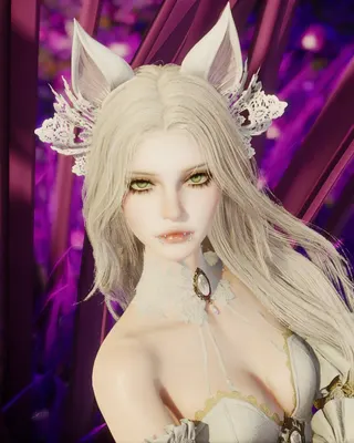 Fox Cat Maid