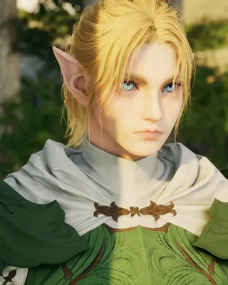 Link