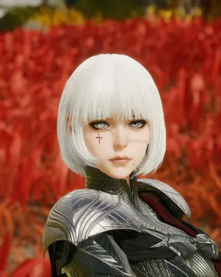 Sister of Battle V1