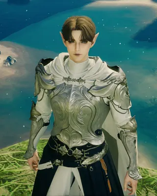 Silver Guardian
